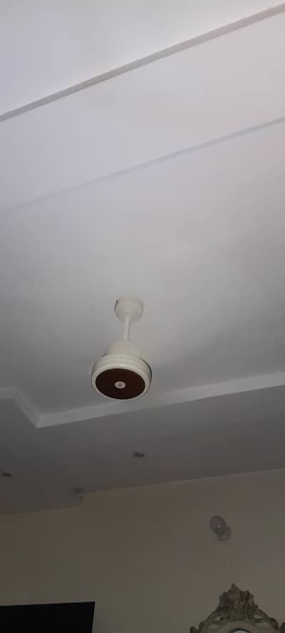 ceiling fan RoYal