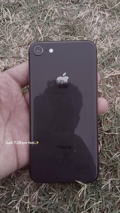Apple iPhone 8