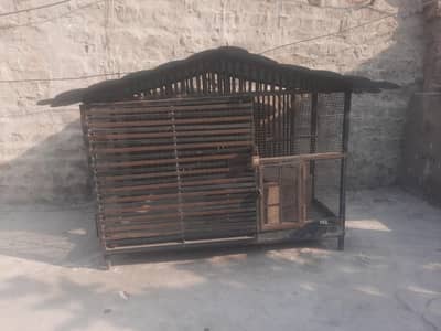 Dog or parrot iron cage