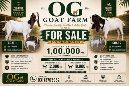  OG GOAT FARM 