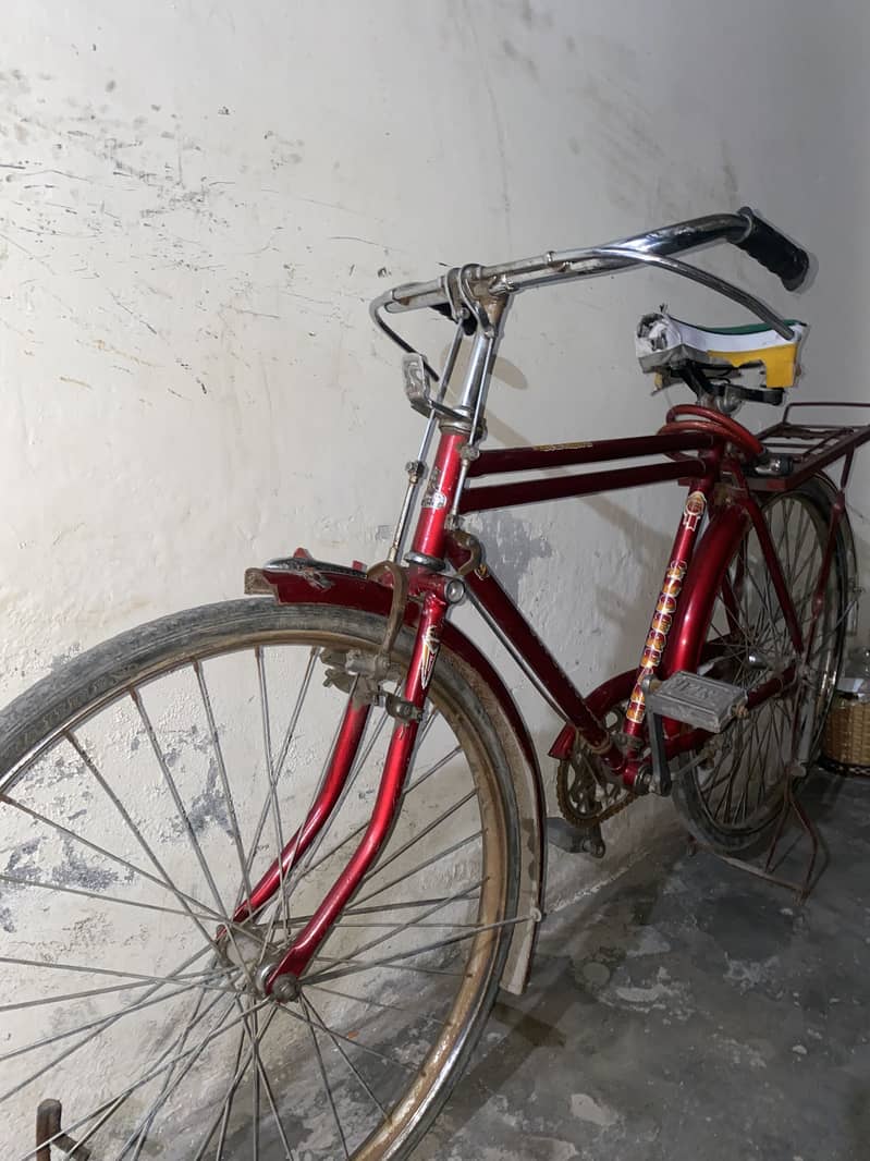 Baba Cycle 2