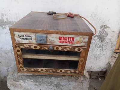 egg  machen