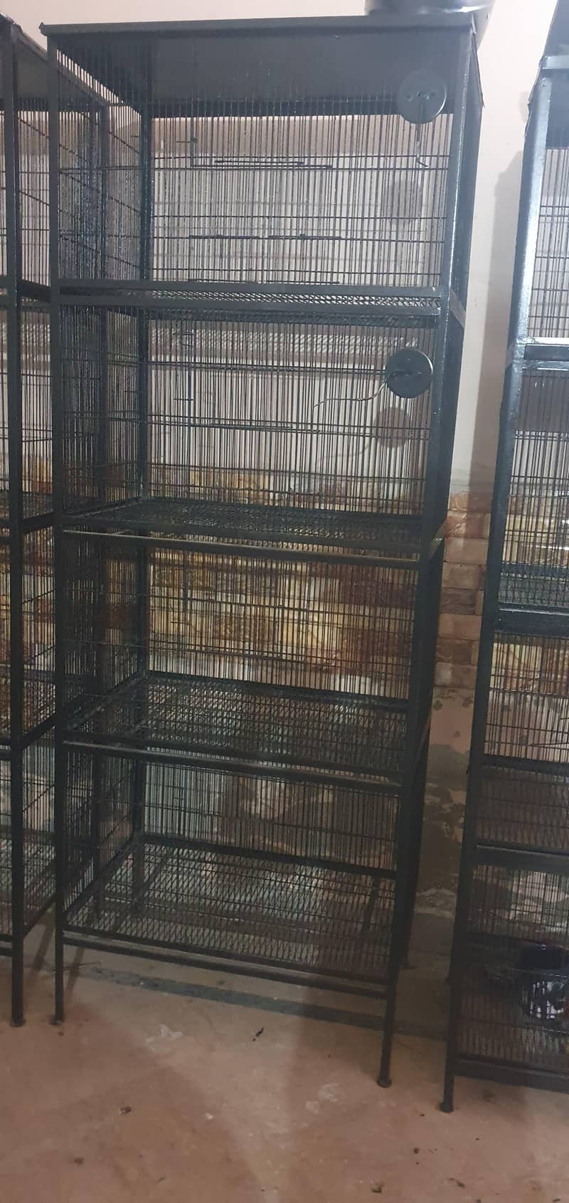 cages 1