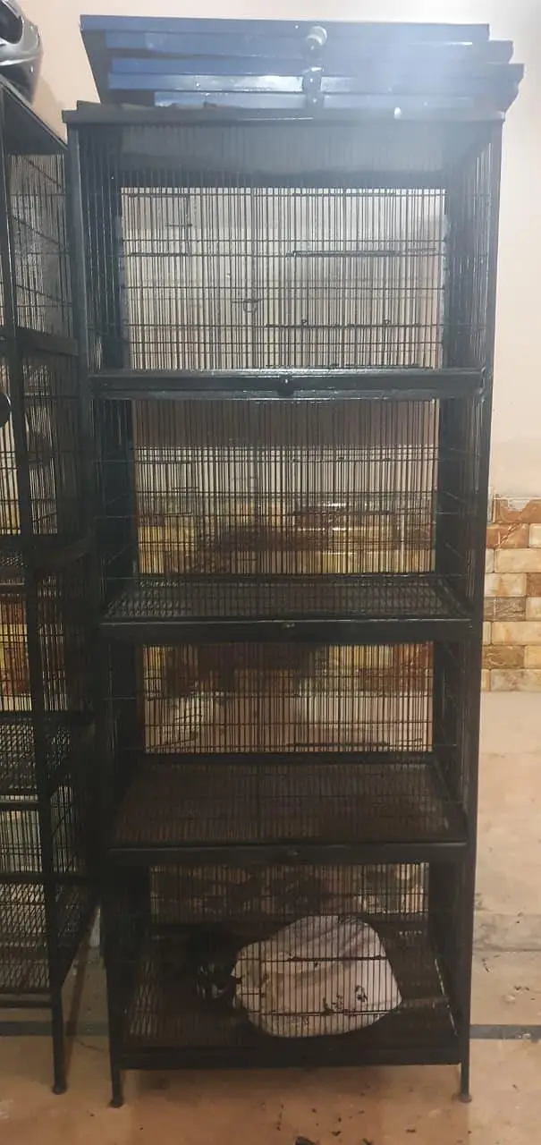4 cages available in good condition — photo 3