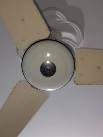 Pak Punjab ceiling  Fan For Sale