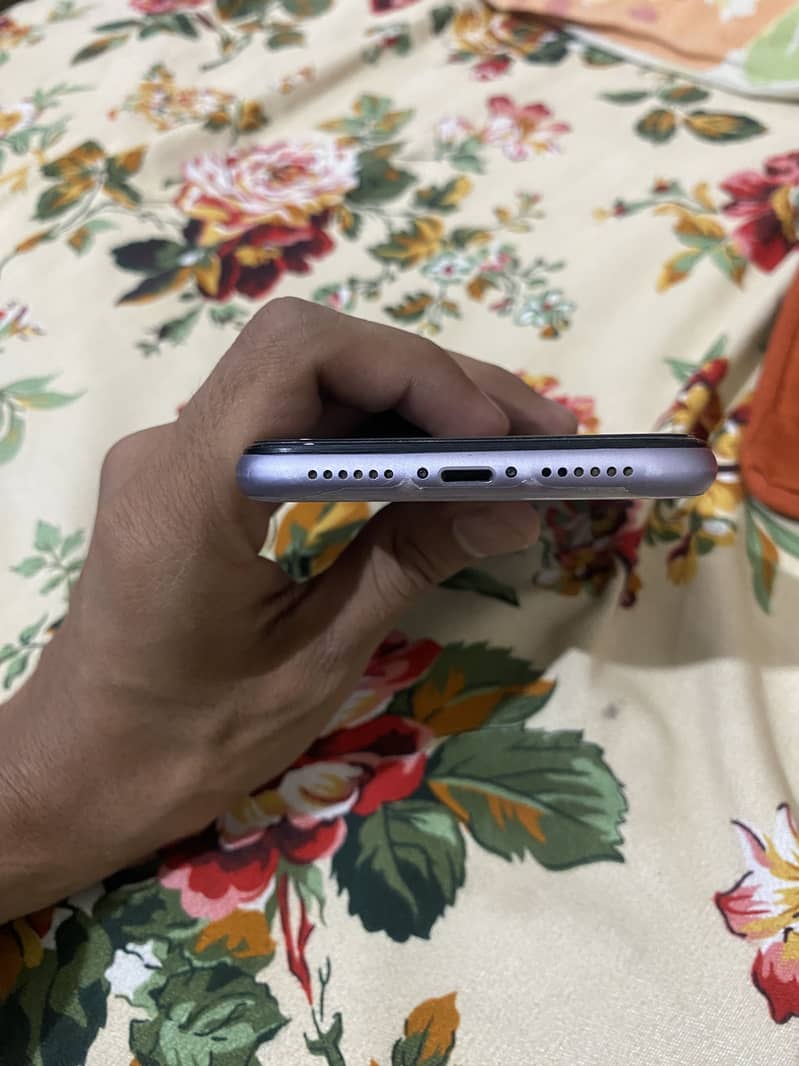 Apple iPhone 11 1