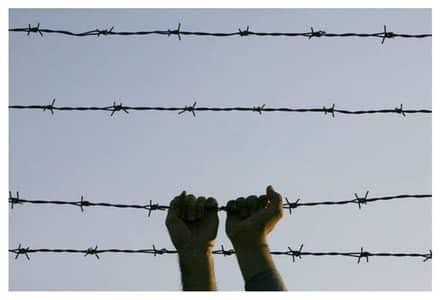 0321-6310316 Razor Wire Barbed Wire Security Wire Fence Mesh