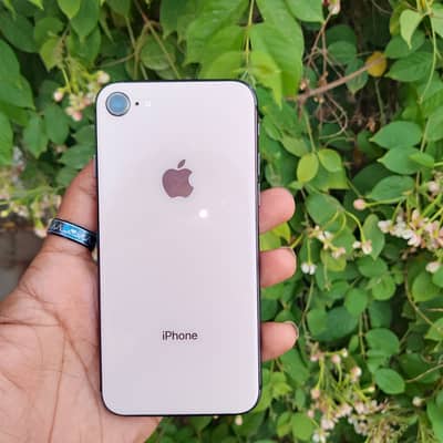 Apple iPhone 8