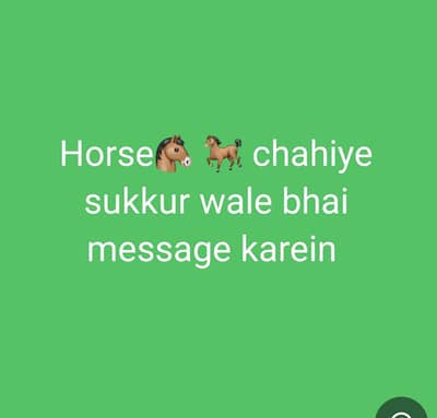 Horse