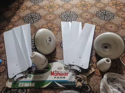 celling fans mehvar company
