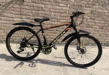 Caspian 802 mountain bicycle