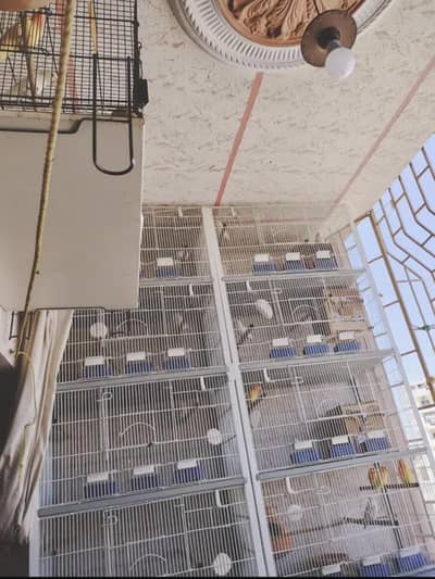 Cage For Sale