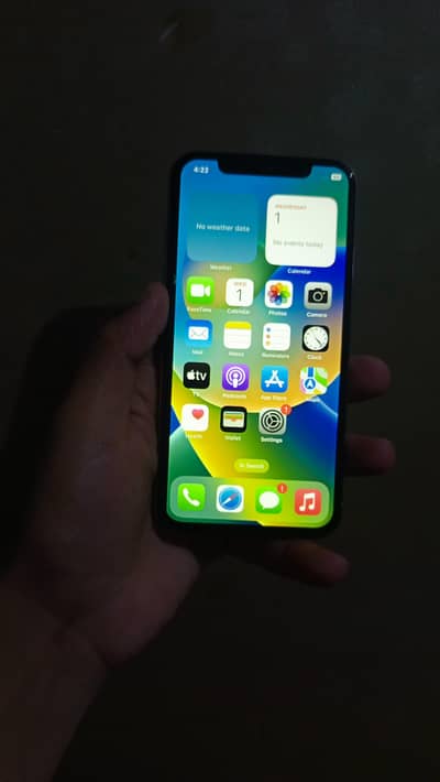 Apple iPhone X