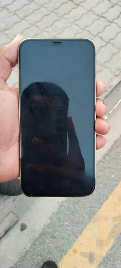 Apple iPhone 12 Pro Max