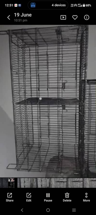 love bird oppline