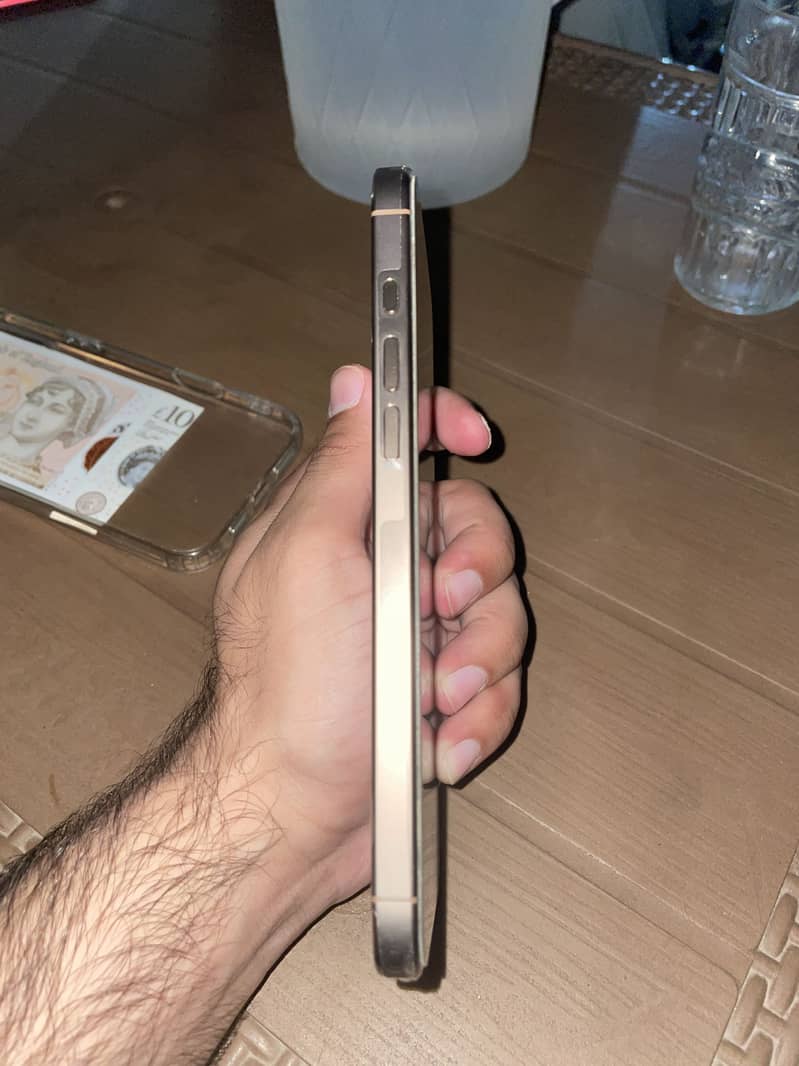 Apple iPhone 16 Pro Max 4