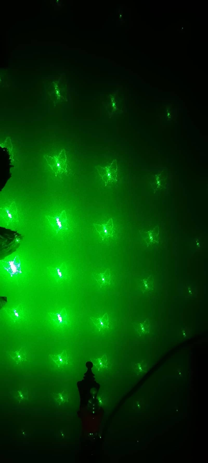 lighting Fox 2