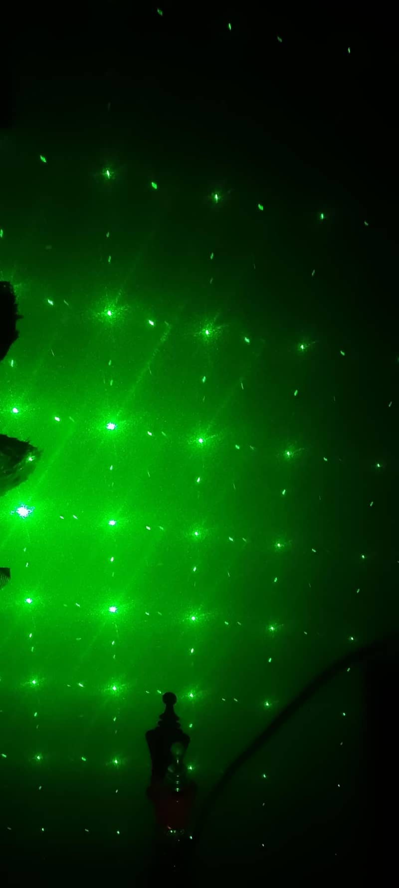 lighting Fox 3