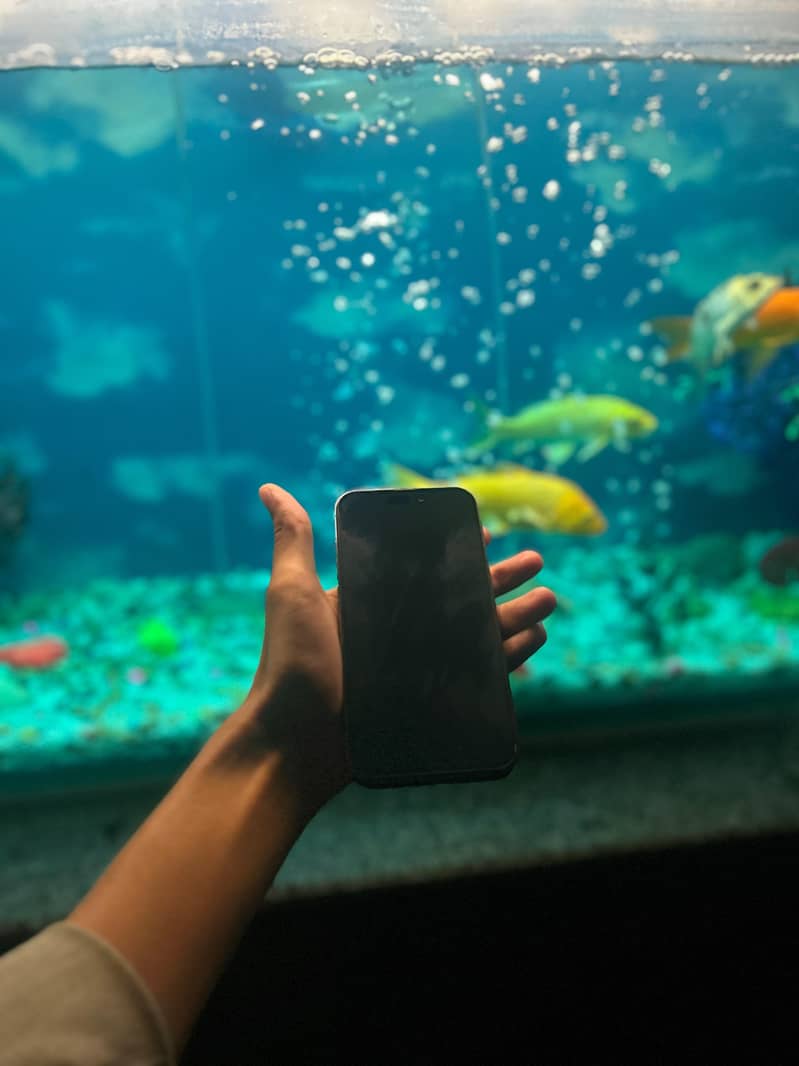 Apple iPhone 14 Pro 1