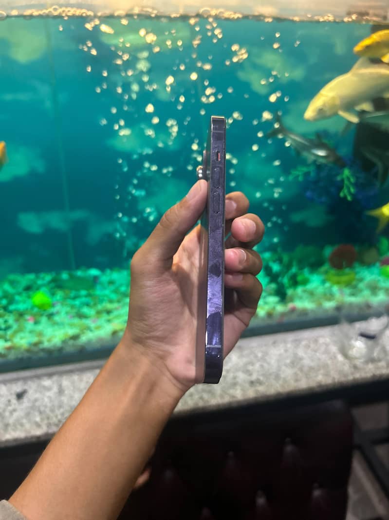Apple iPhone 14 Pro 3