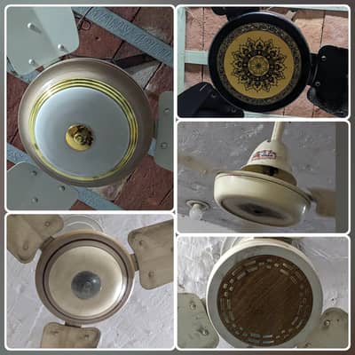 5 220V ceiling fans