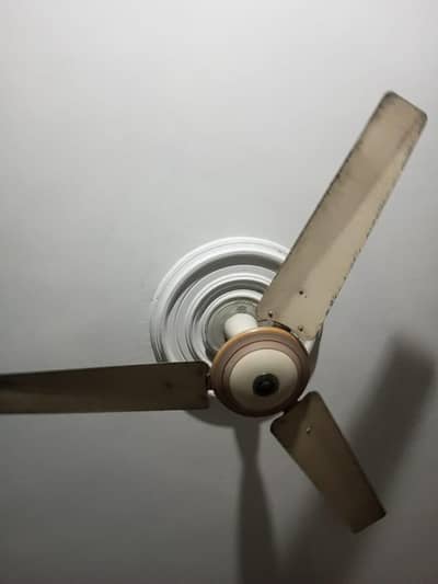 GFC CEILING FAN For sale
