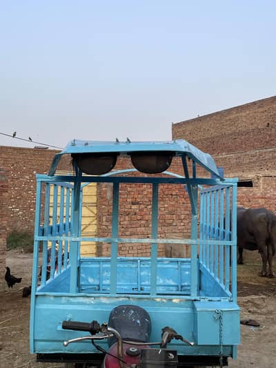 Riksha Body