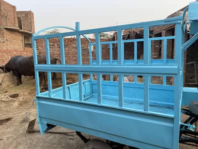 Riksha body