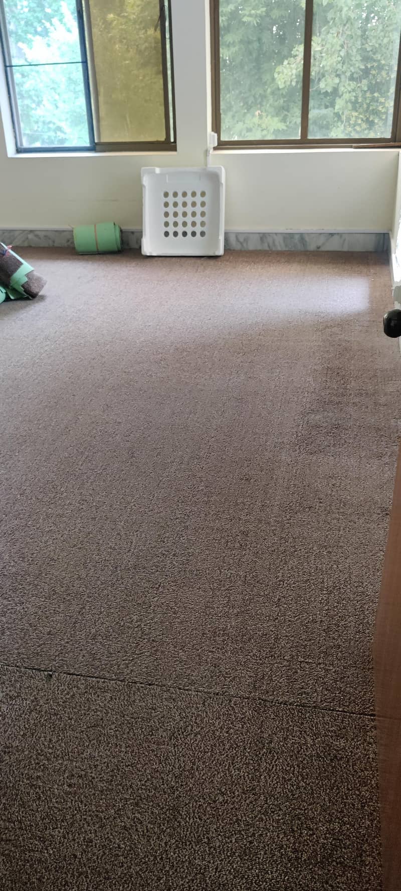 carpet 1