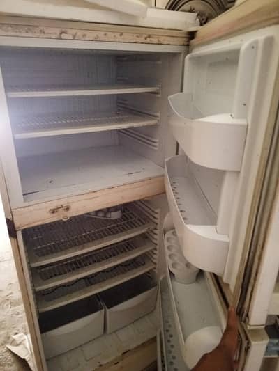 Fridge