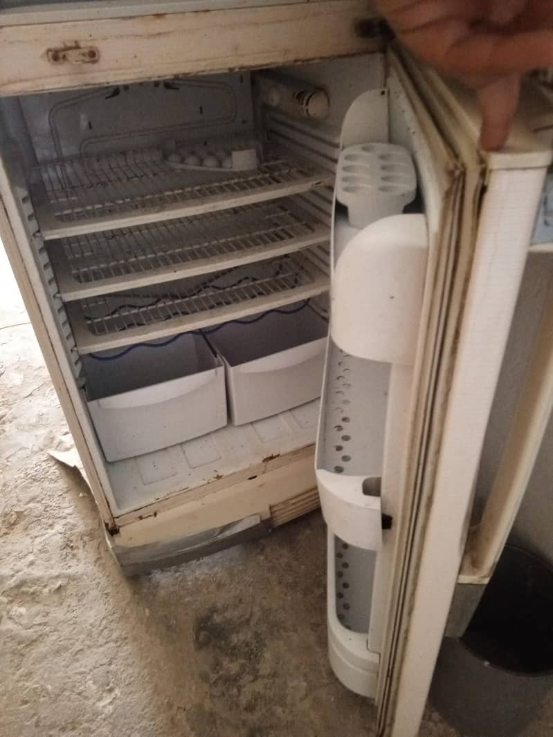 Fridge 1