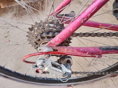 long road cycle hai