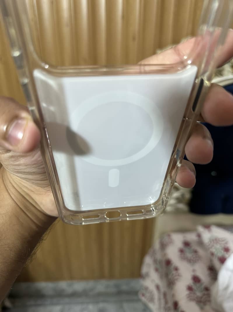 17 pro max case 10