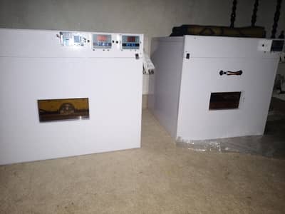 manual & automatic incubator, brooder 30, 60, 80, 120,240,300,500 eggs
