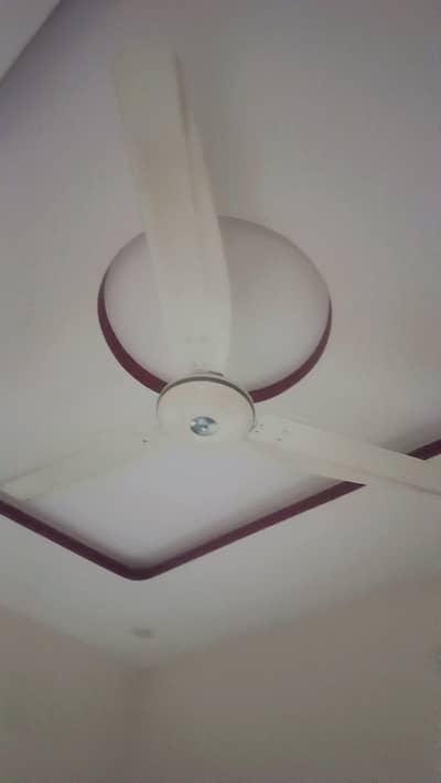 ceiling fan in newish condition available for sale