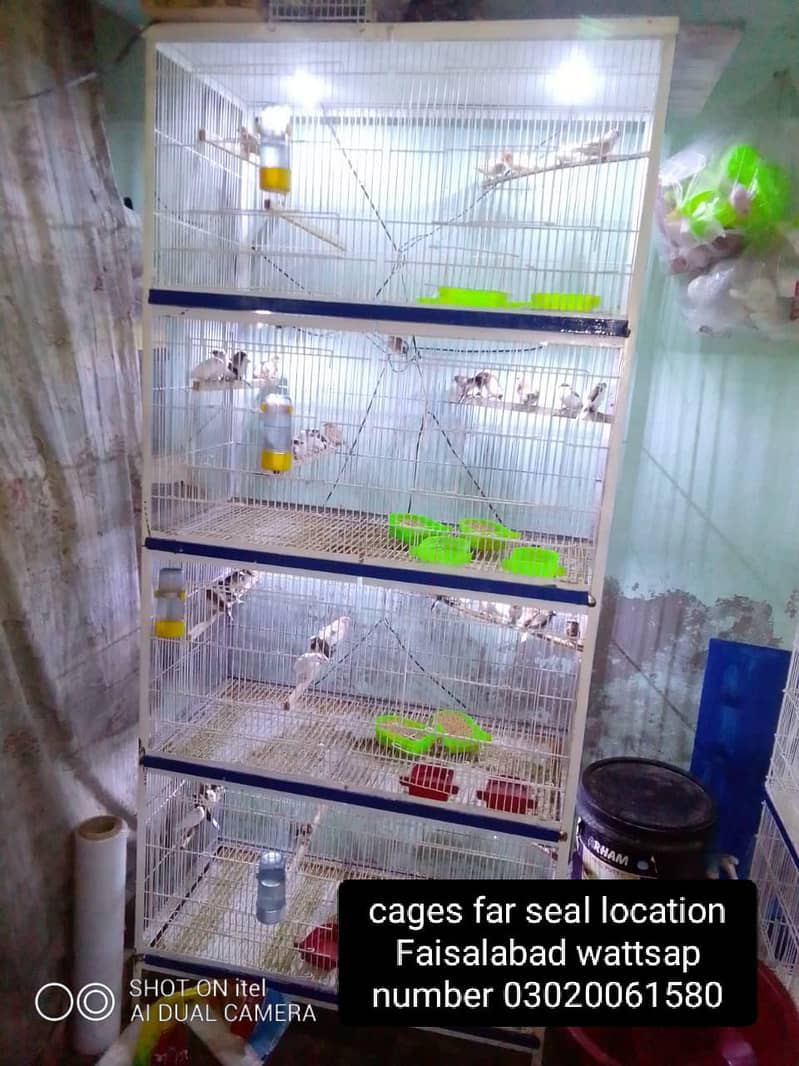 cages 1