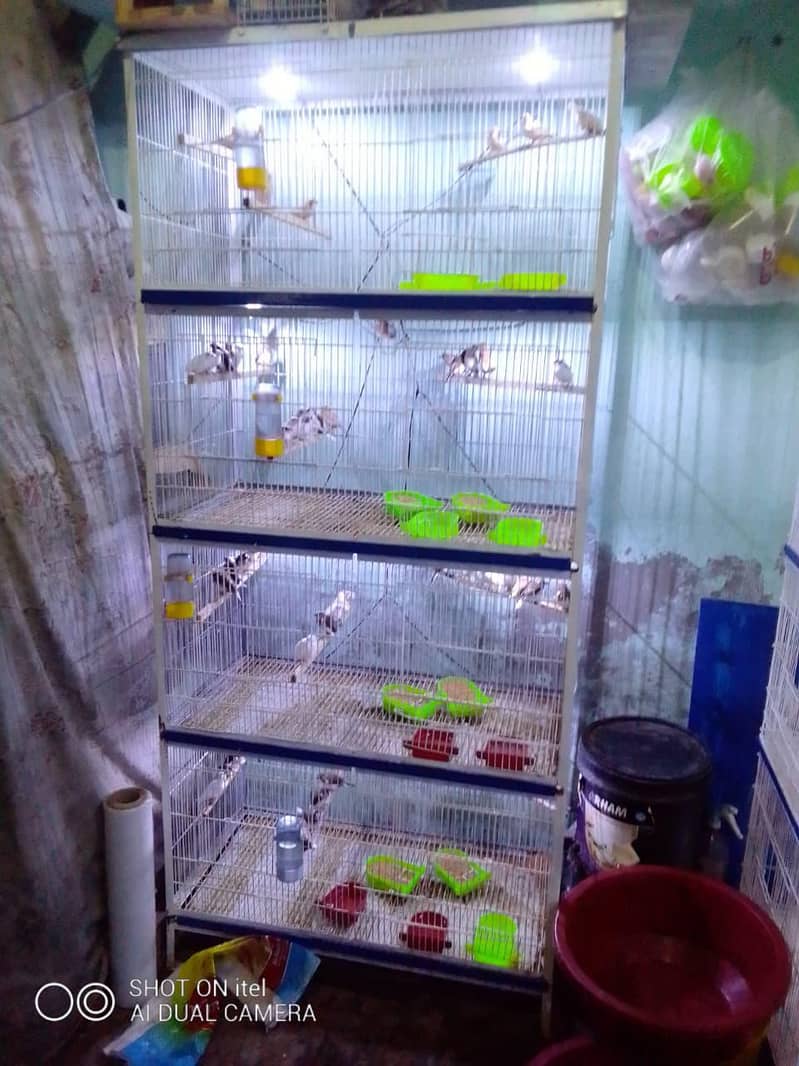 cages 2