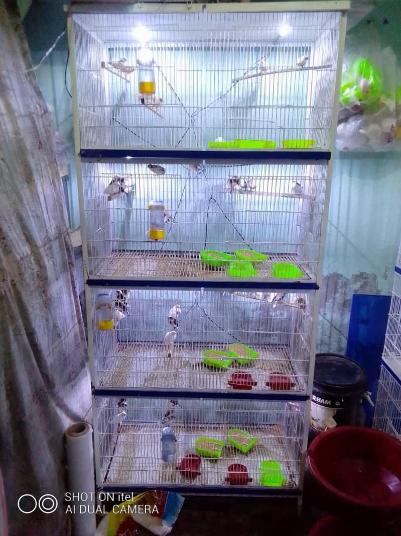 cages 5