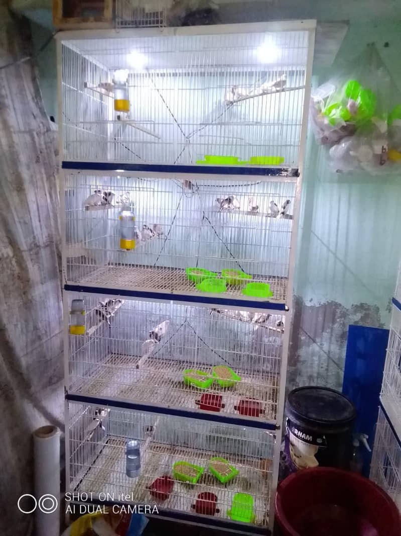 cages 6