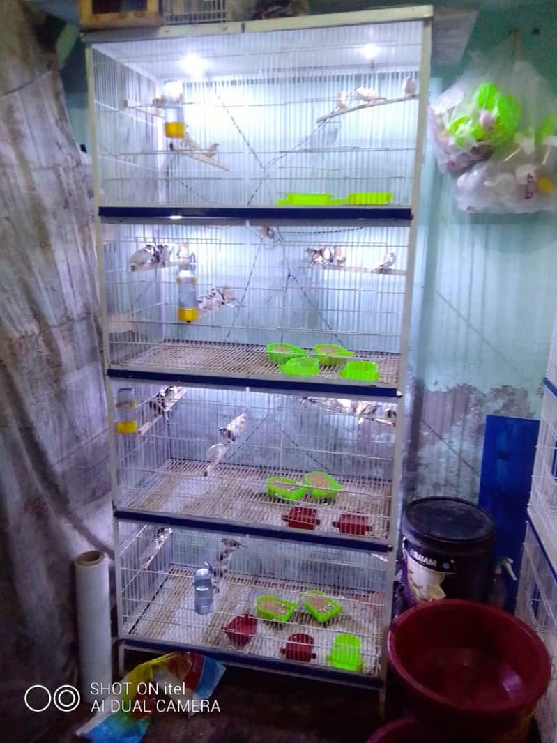 cages 7