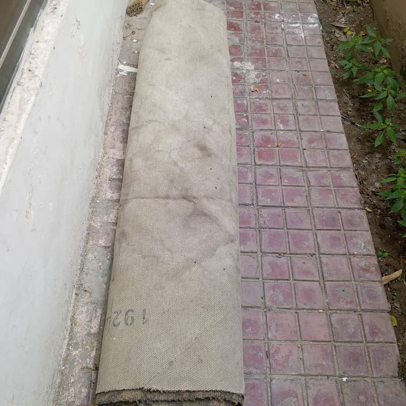 carpet 0