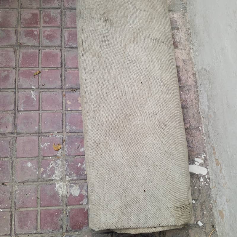 carpet 1