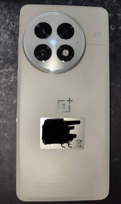 One Plus 13