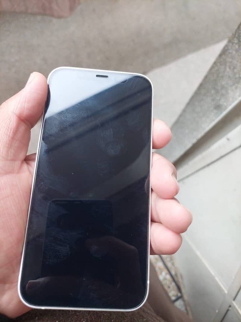 Apple iPhone 12 1