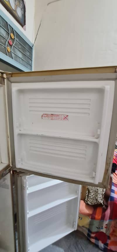 pel fridge maduim size