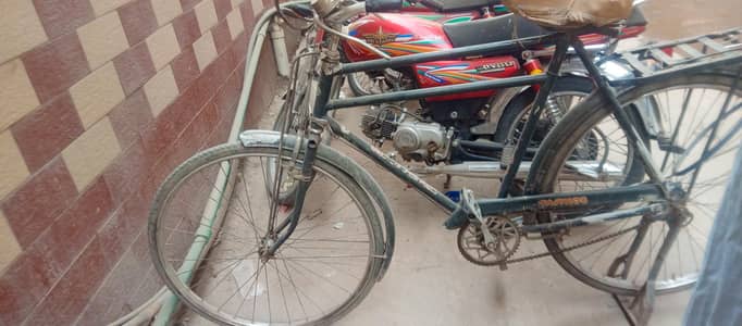 Sohrab 24 inch cycle