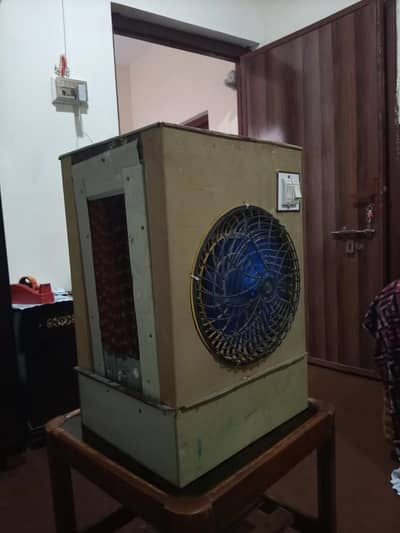 non pta hai