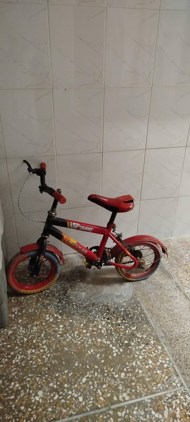 cycle 2