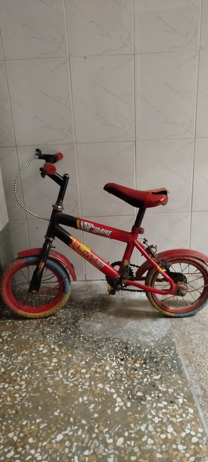 cycle 3