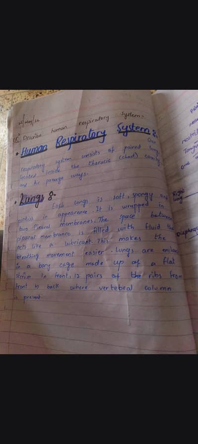 Neat Handwritten Assignments | Urdu & English | Karachi